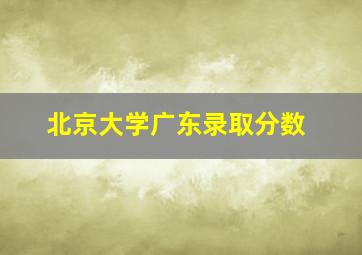 北京大学广东录取分数