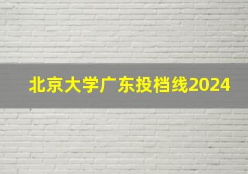 北京大学广东投档线2024