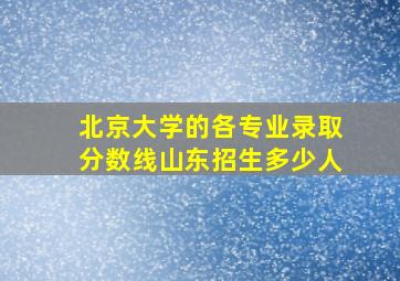 北京大学的各专业录取分数线山东招生多少人