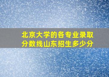 北京大学的各专业录取分数线山东招生多少分