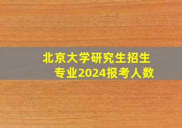 北京大学研究生招生专业2024报考人数