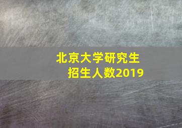 北京大学研究生招生人数2019