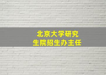 北京大学研究生院招生办主任