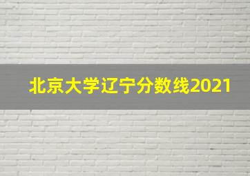 北京大学辽宁分数线2021