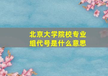 北京大学院校专业组代号是什么意思