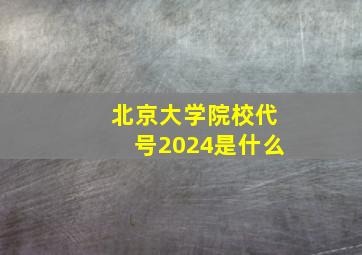 北京大学院校代号2024是什么