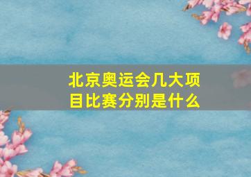 北京奥运会几大项目比赛分别是什么