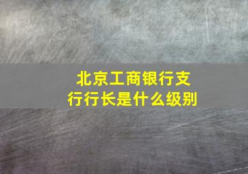 北京工商银行支行行长是什么级别