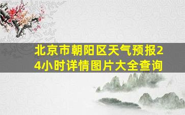 北京市朝阳区天气预报24小时详情图片大全查询