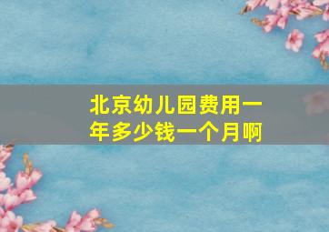 北京幼儿园费用一年多少钱一个月啊