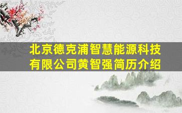 北京德克浦智慧能源科技有限公司黄智强简历介绍