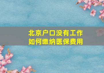 北京户口没有工作如何缴纳医保费用