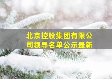 北京控股集团有限公司领导名单公示最新