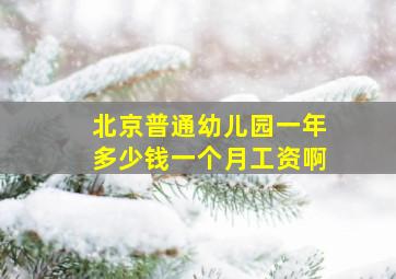 北京普通幼儿园一年多少钱一个月工资啊