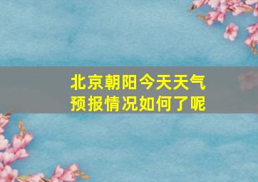 北京朝阳今天天气预报情况如何了呢