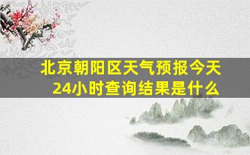 北京朝阳区天气预报今天24小时查询结果是什么