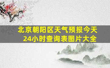 北京朝阳区天气预报今天24小时查询表图片大全