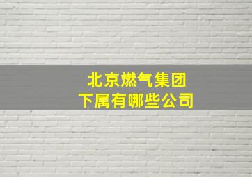 北京燃气集团下属有哪些公司