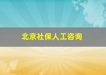 北京社保人工咨询