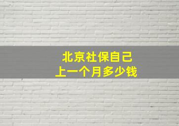 北京社保自己上一个月多少钱