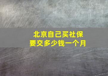 北京自己买社保要交多少钱一个月