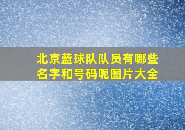 北京蓝球队队员有哪些名字和号码呢图片大全