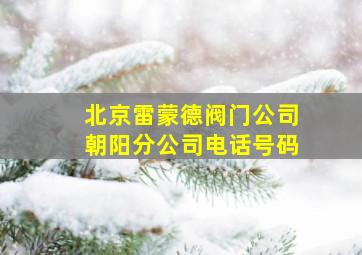 北京雷蒙德阀门公司朝阳分公司电话号码