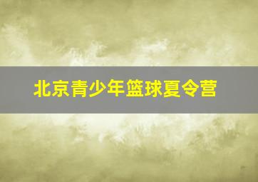 北京青少年篮球夏令营