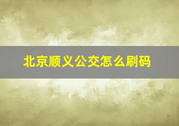 北京顺义公交怎么刷码