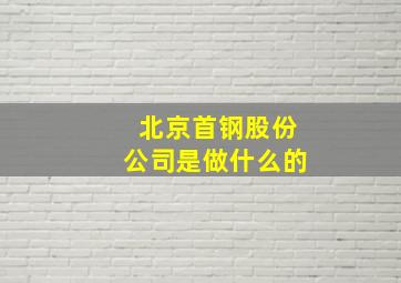 北京首钢股份公司是做什么的