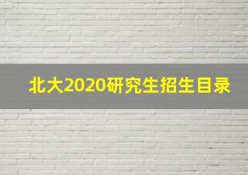 北大2020研究生招生目录