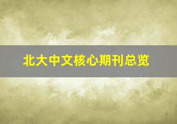 北大中文核心期刊总览