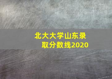 北大大学山东录取分数线2020