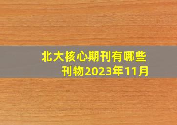 北大核心期刊有哪些刊物2023年11月