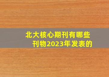 北大核心期刊有哪些刊物2023年发表的