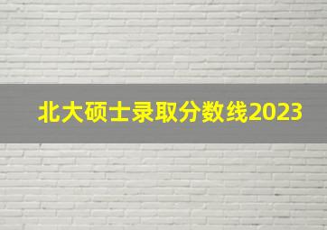 北大硕士录取分数线2023