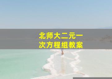 北师大二元一次方程组教案