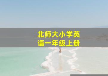 北师大小学英语一年级上册