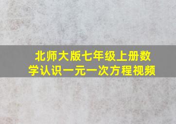 北师大版七年级上册数学认识一元一次方程视频