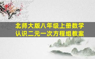 北师大版八年级上册数学认识二元一次方程组教案