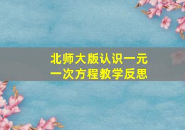 北师大版认识一元一次方程教学反思