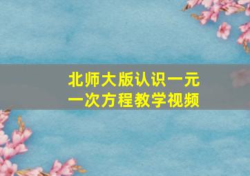 北师大版认识一元一次方程教学视频