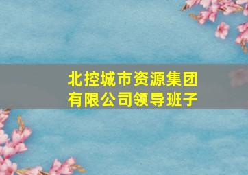 北控城市资源集团有限公司领导班子