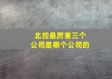 北控最厉害三个公司是哪个公司的