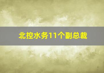 北控水务11个副总裁