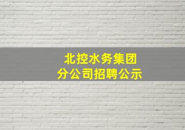 北控水务集团分公司招聘公示