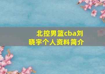 北控男篮cba刘晓宇个人资料简介