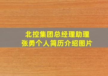 北控集团总经理助理张勇个人简历介绍图片