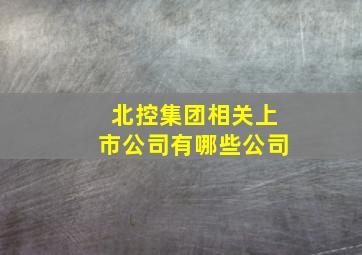 北控集团相关上市公司有哪些公司