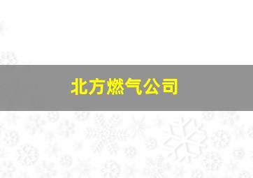 北方燃气公司